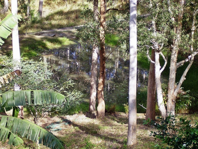 330 Hunchy Rd, Palmwoods QLD 4555