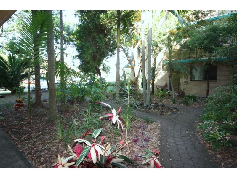 Unit 6/4 Minya Street, Buddina QLD 4575