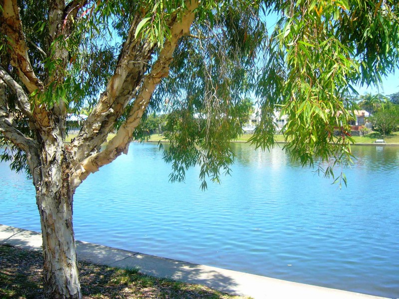 3 MUNBILLA CLOSE, Mountain Creek QLD 4557