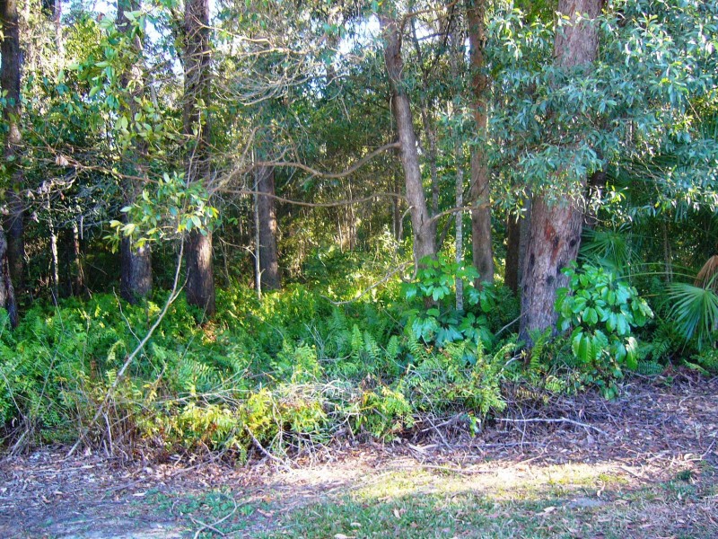 3 MUNBILLA CLOSE, Mountain Creek QLD 4557