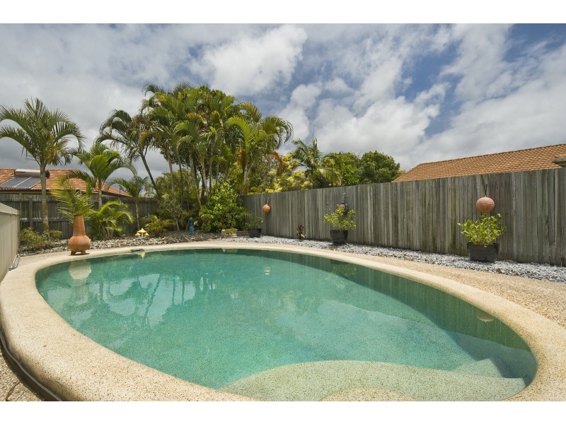 6 Mountain Ash Drive, Mountain Creek QLD 4557