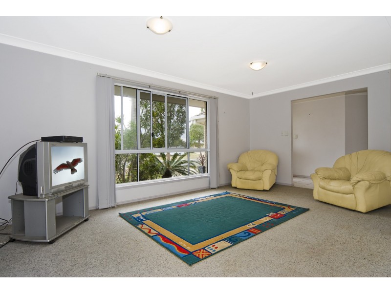 6 Mountain Ash Drive, Mountain Creek QLD 4557