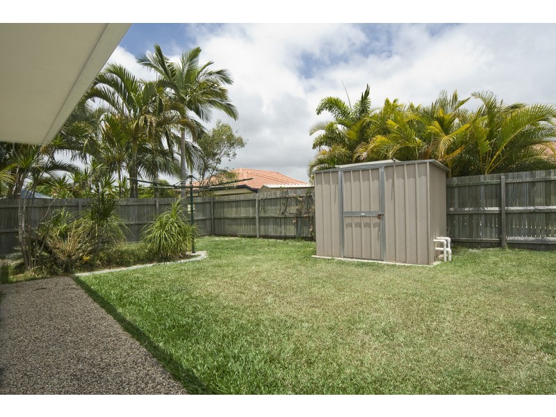 6 Mountain Ash Drive, Mountain Creek QLD 4557