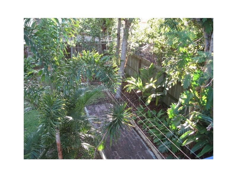 6 Elanda Street, Sunshine Beach QLD 4567