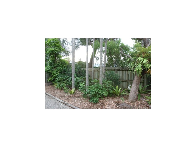 6 Elanda Street, Sunshine Beach QLD 4567