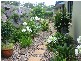 42 Gallery Pl, Caloundra QLD 4551