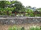 Buderim QLD 4556