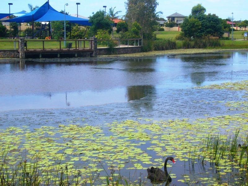 37 Lomond Crescent, Caloundra QLD 4551