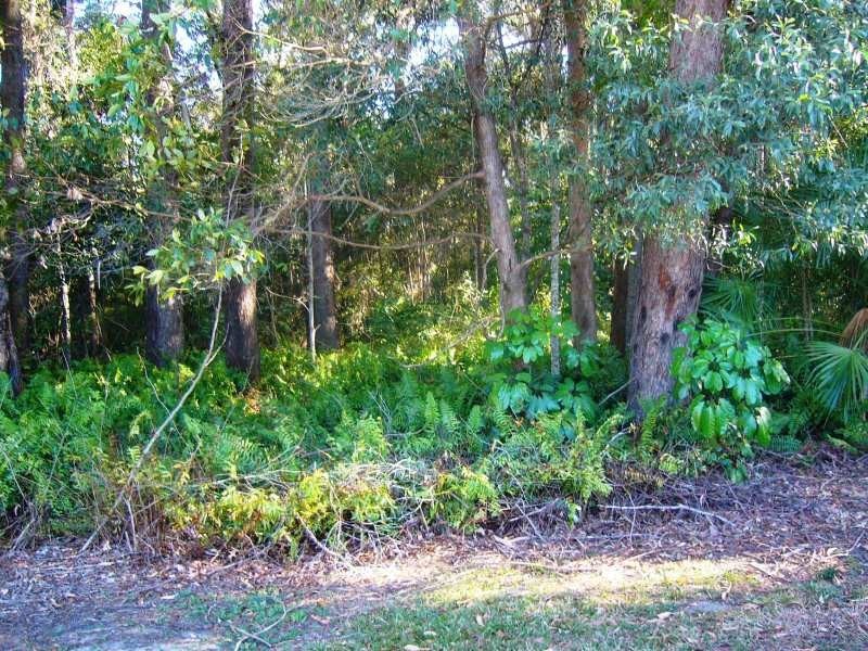3 Munbilla CL, Mountain Creek QLD 4557