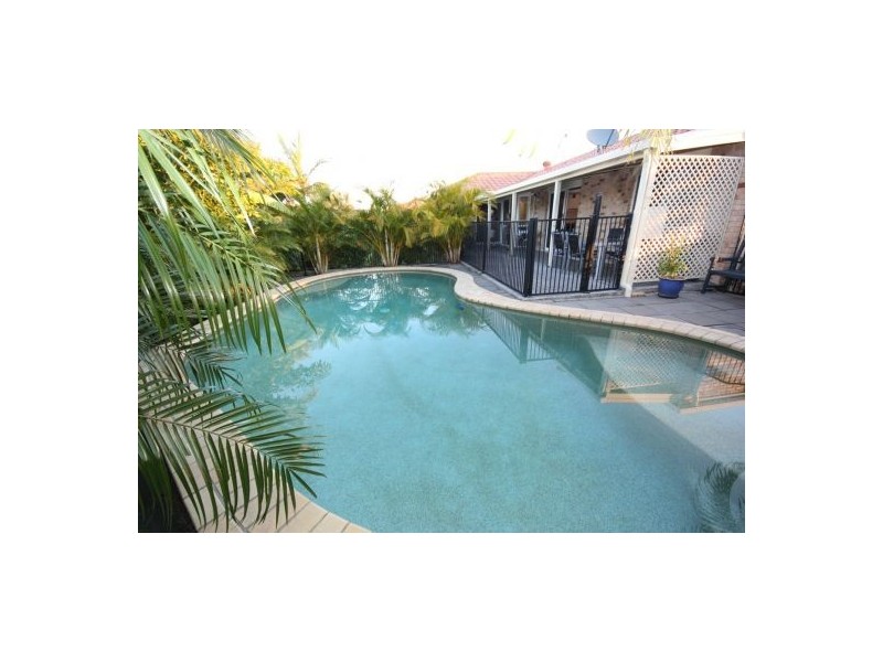 12 Bush Nut, Little Mountain QLD 4551