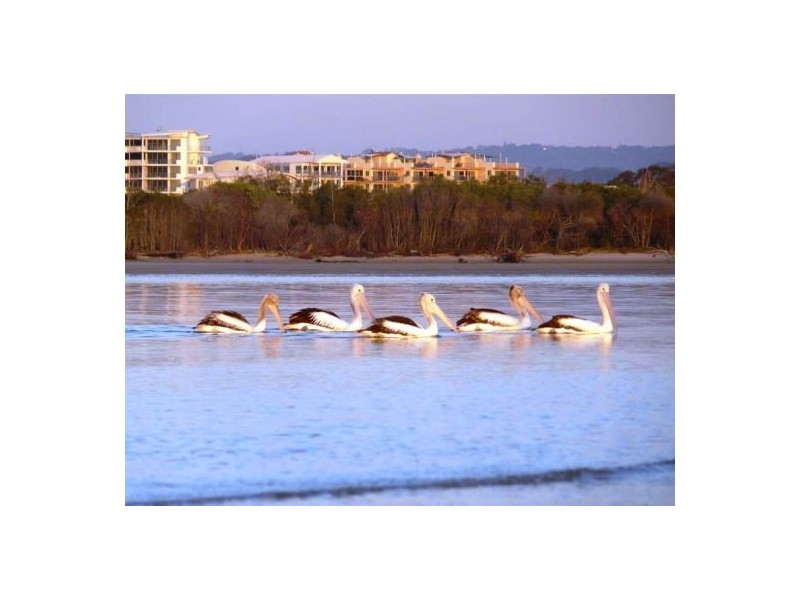 17 Broadwater Avenue, Maroochydore QLD 4558