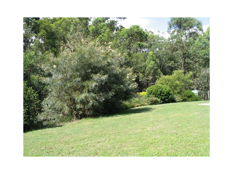 7 Cabbage Palm Ct, Caloundra QLD 4551