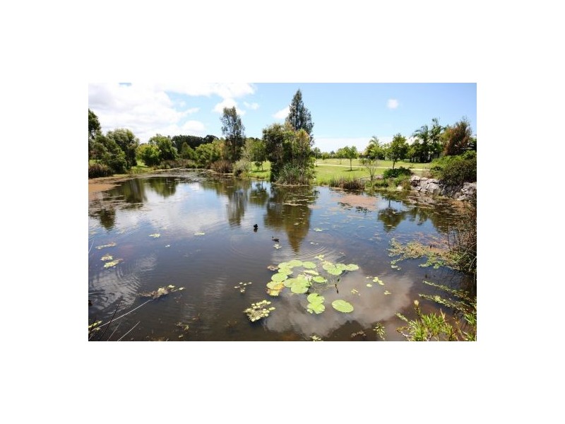 23 Sandleigh Cr, Sippy Downs QLD 4556