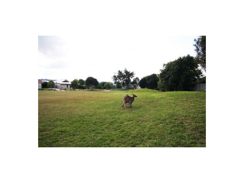 11 Trinity Cr, Sippy Downs QLD 4556