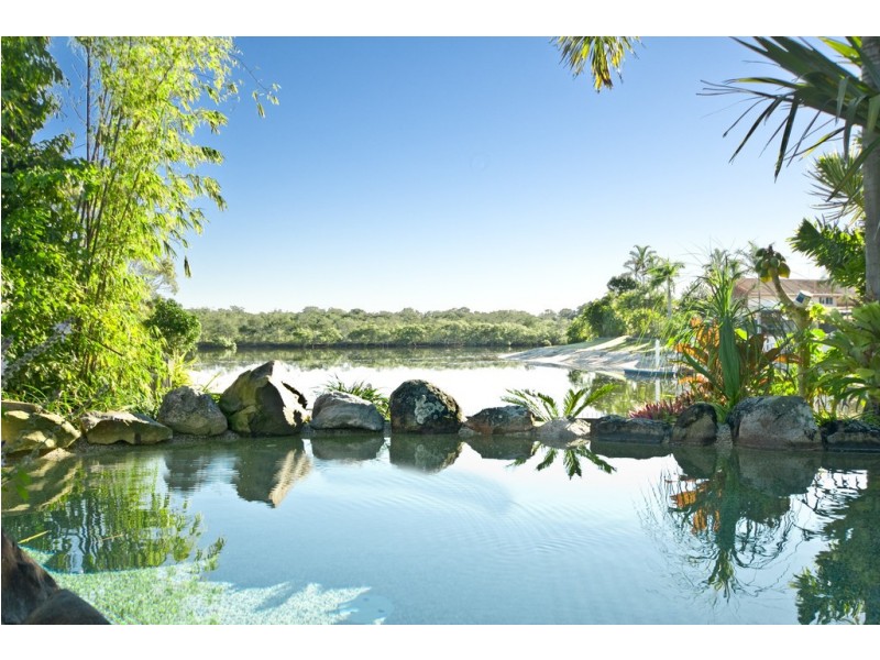 61 Cootamundra Drive, Mountain Creek QLD 4557