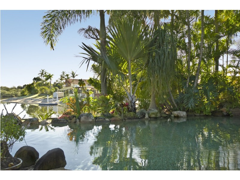 61 Cootamundra Drive, Mountain Creek QLD 4557