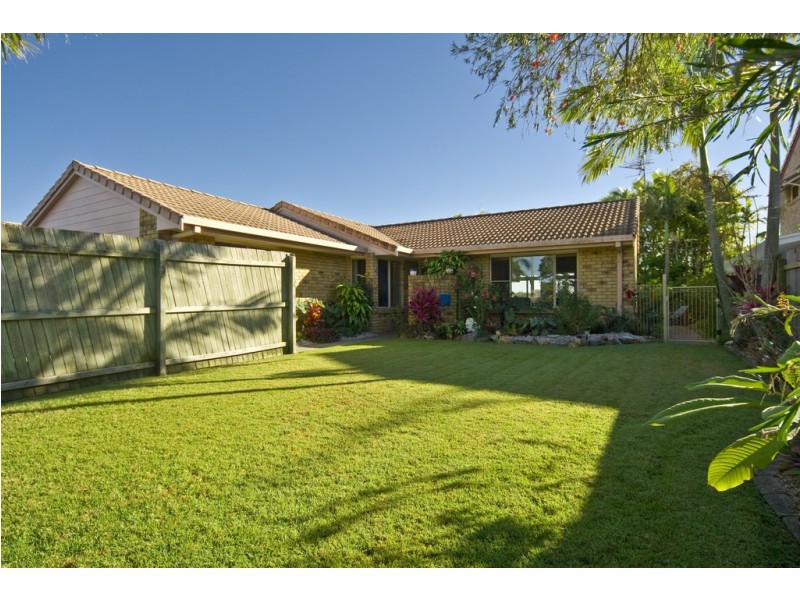 61 Cootamundra Drive, Mountain Creek QLD 4557