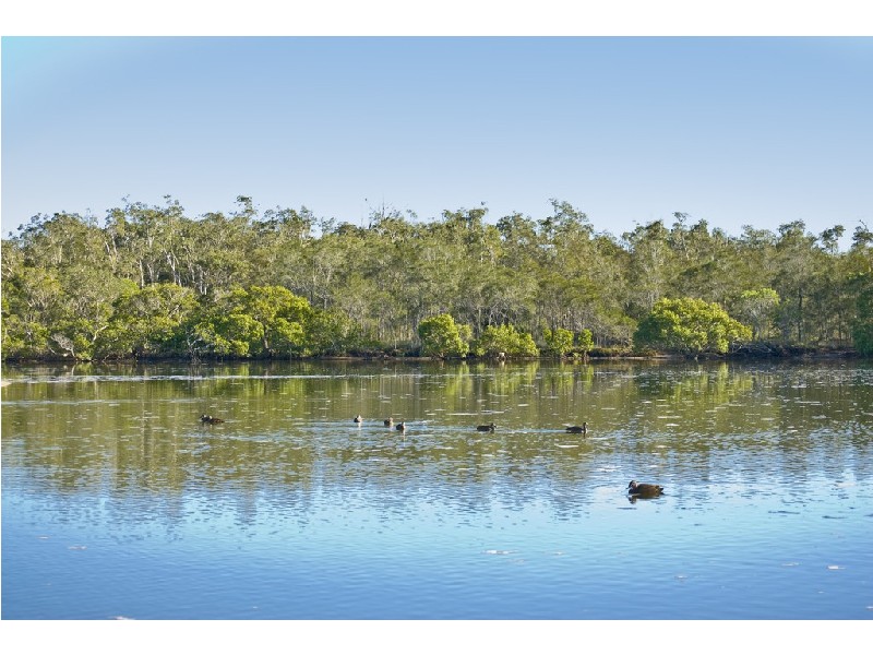 61 Cootamundra Drive, Mountain Creek QLD 4557