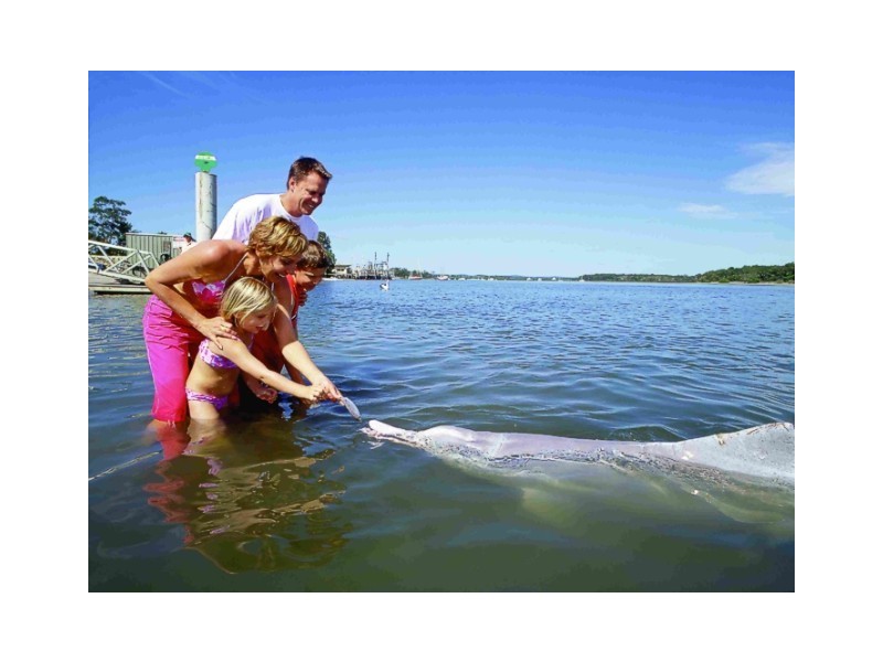 41 Marlin Wy, Tin Can Bay QLD 4580