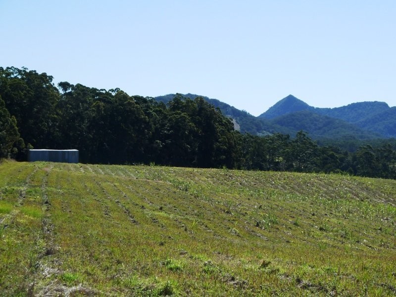 80 Carrs Road, Bridges QLD 4561