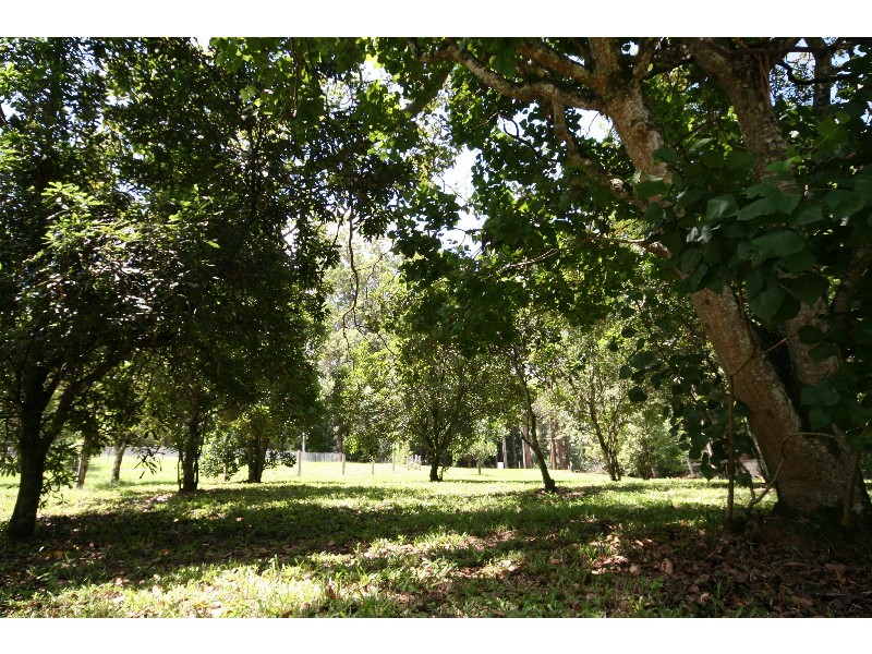 122 Main Creek Road, Tanawha QLD 4556