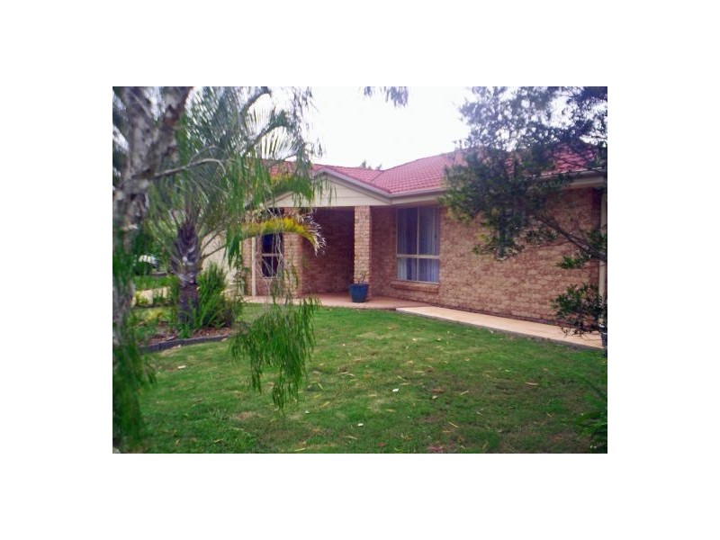 31 Phoenix Cct, Sippy Downs QLD 4556