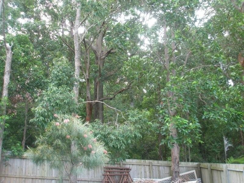 2 Daydream Court, Buderim QLD 4556