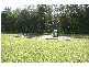 24 Lomandra Pl, Tewantin QLD 4565