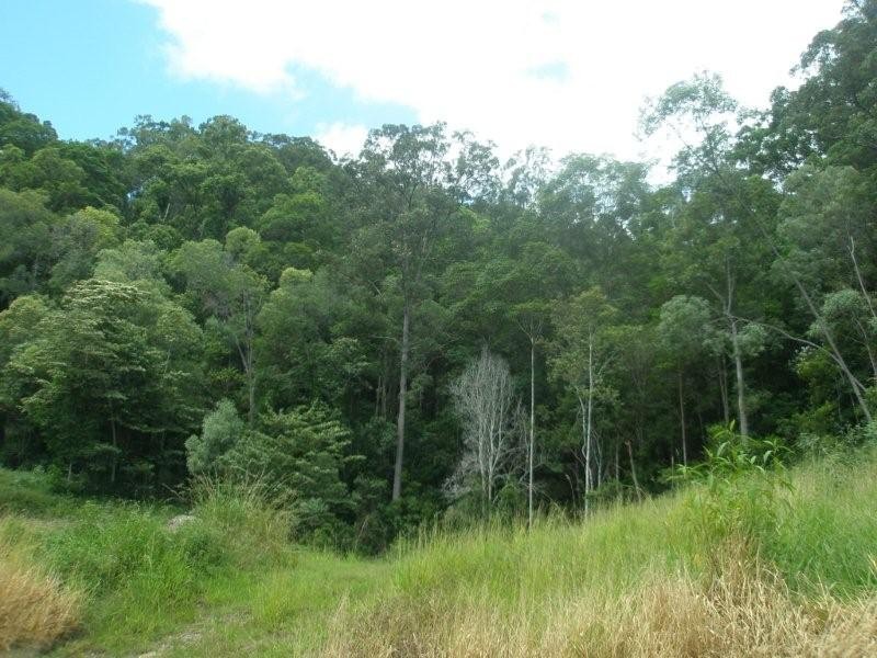 61 Martins Creek Road, Buderim QLD 4556