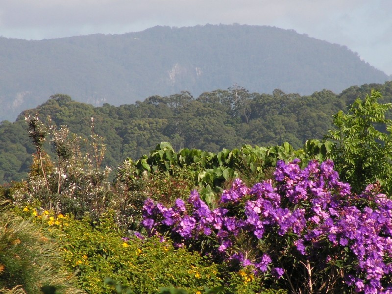 198 Tyagarah Road, Tyagarah NSW 2481