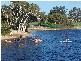 1/77 Stewart, Lennox Head NSW 2478