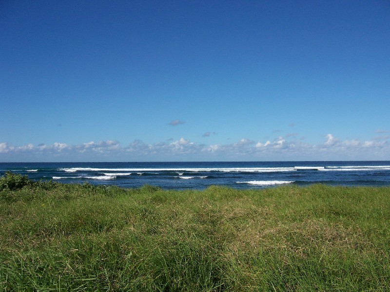 1/77 Stewart, Lennox Head NSW 2478