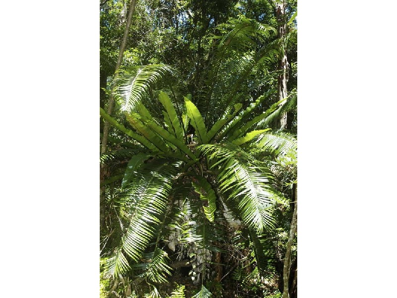 Lot 6 Broken Head Road, Broken Head NSW 2481