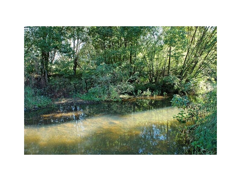 215 Tooheys Mill Road, Fernleigh NSW 2479