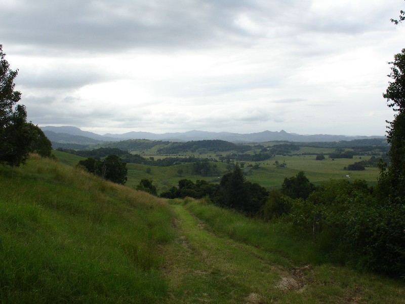 306 Coolamon Scenic Drive, Coorabell NSW 2479