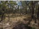 1008 Nundubbermere Road, Stanthorpe QLD 4380