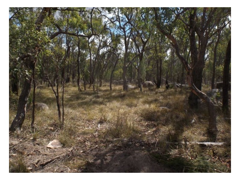 1008 Nundubbermere Road, Stanthorpe QLD 4380
