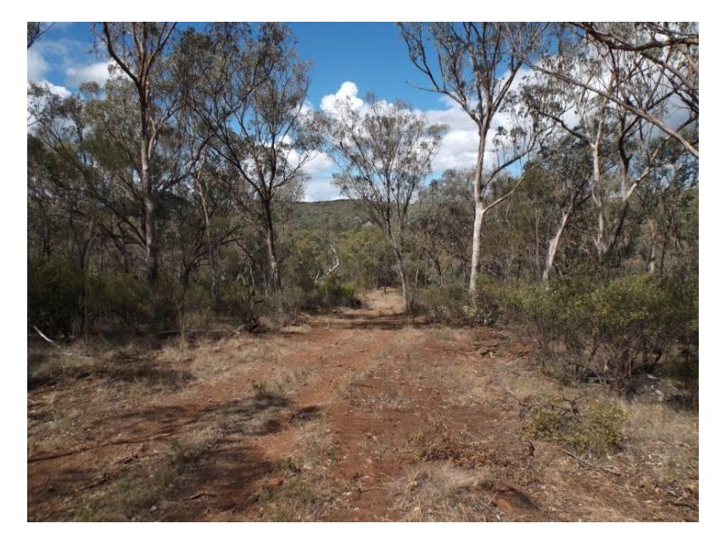 1008 Nundubbermere Road, Stanthorpe QLD 4380