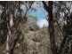 1008 Nundubbermere Road, Stanthorpe QLD 4380