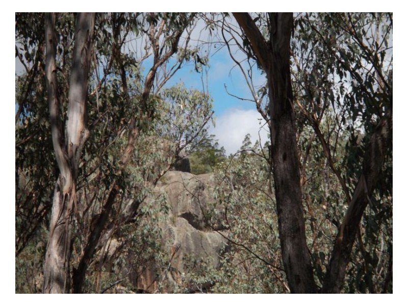 1008 Nundubbermere Road, Stanthorpe QLD 4380