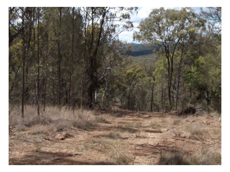 1008 Nundubbermere Road, Stanthorpe QLD 4380