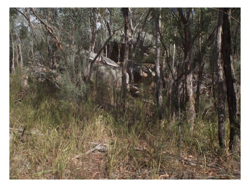 1008 Nundubbermere Road, Stanthorpe QLD 4380