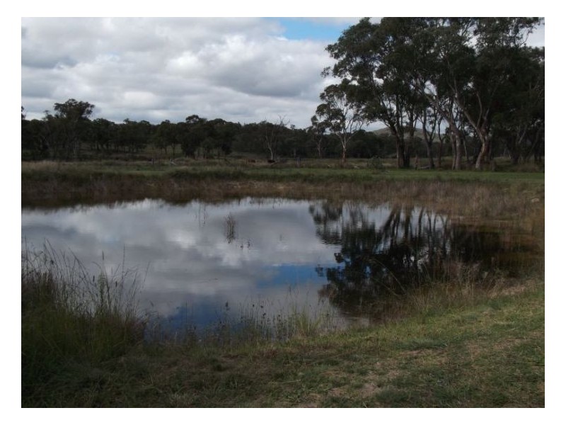 39 Cavallaro Lane, Stanthorpe QLD 4380