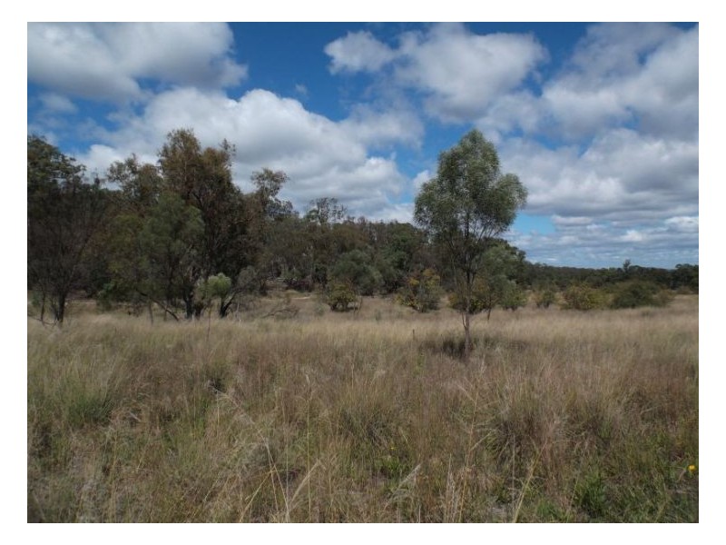 31 Minasi Lane, Stanthorpe QLD 4380