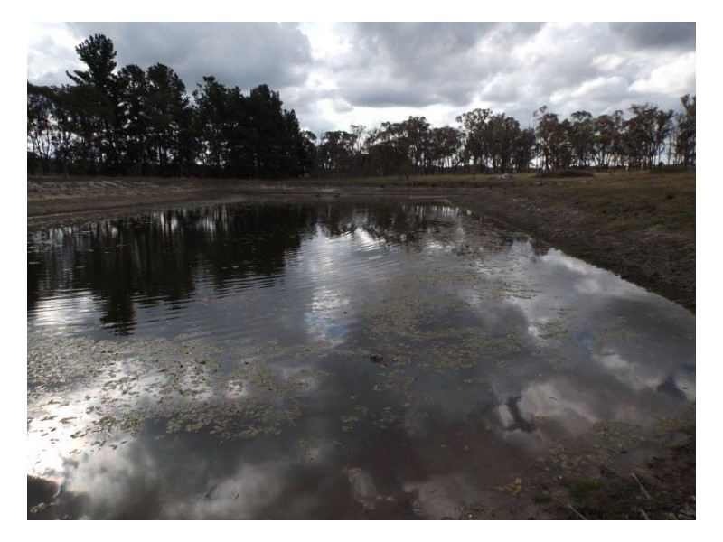 108 Newlands Road, Cottonvale QLD 4375