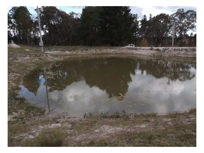 108 Newlands Road, Cottonvale QLD 4375