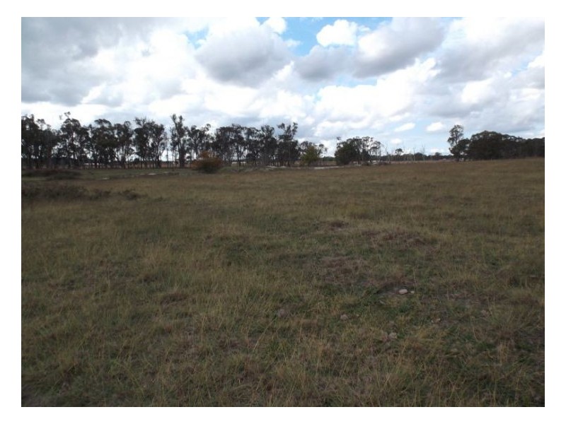 108 Newlands Road, Cottonvale QLD 4375