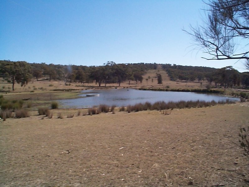 Stanthorpe QLD 4380