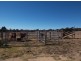1377 Eukey Road, Stanthorpe QLD 4380