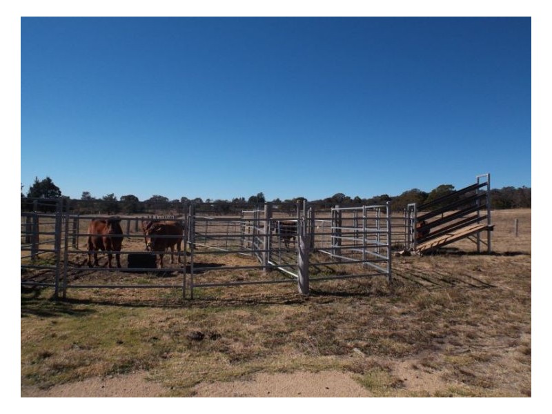 1377 Eukey Road, Stanthorpe QLD 4380